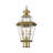 Arelene Lantern Head-21132018