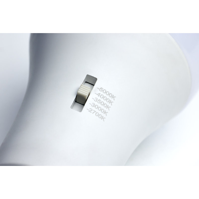 12 Watt White LED Bulb, 75 Watt Equivalent