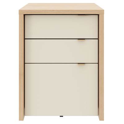 Armoire de rangement et de rangement polyvalente
