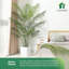 45,67 po Faux palmier en pot