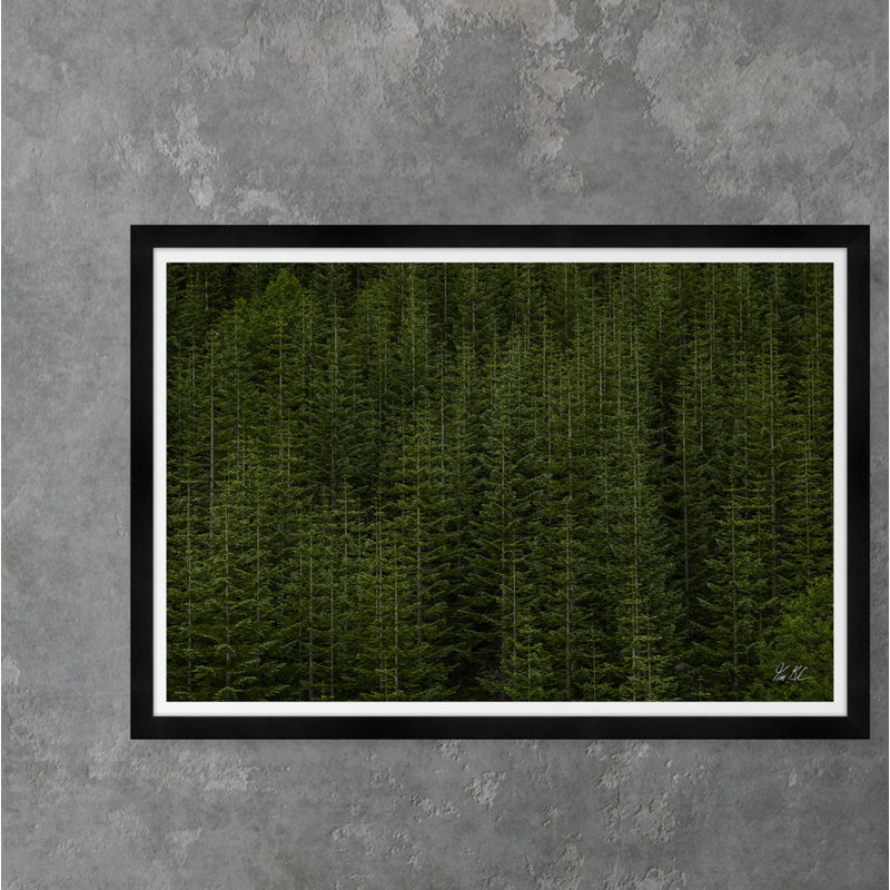 Among Static Pines Ii Framed Photographic Print