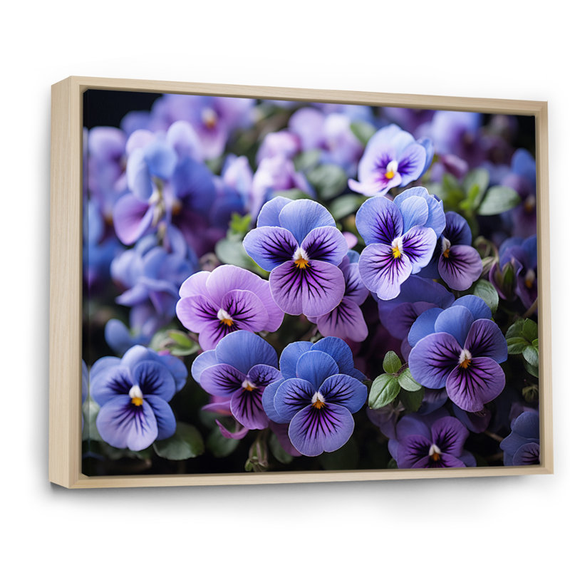 «Purple Pansies Field Vibrant» sur toile, Cadre naturel flottant, H 16 po x l 32 po x P 1 po