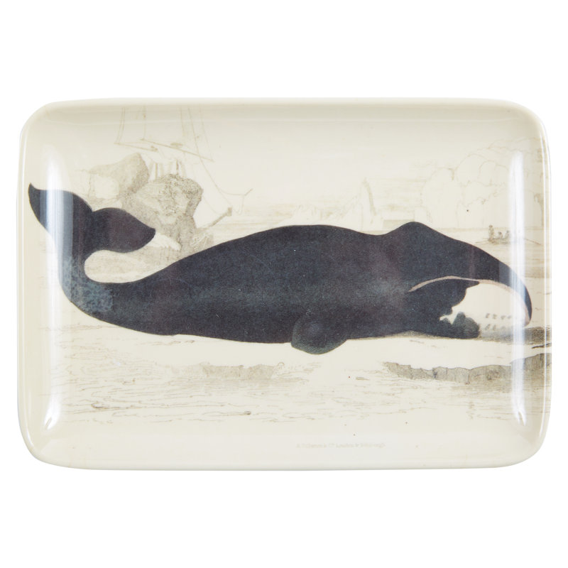 Plateau de service Murgo Baleen