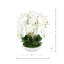 Orchid Arrangement in Round Fiberstone Pot-1233830116