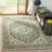 Danya Oriental Green/Cream Indoor/Outdoor Area Rug-616149080