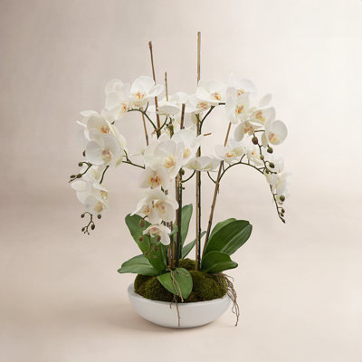 Orchid Floral Arrangement