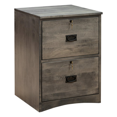 Dillynn 21 " Wide 2 Solid Wood Vertical Filing Cabinet
