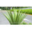 33" Artificial Ground Inserted Agave Plants-1771171012