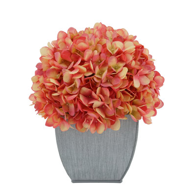 Arrangement floral d'hortensias dans un vase