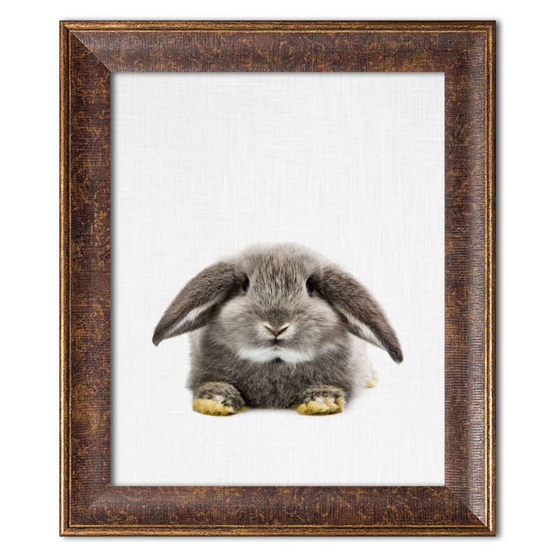 « lapin ii », impression, Papier avec cadre blanc, H 14 po x l 11 po x P 0,75 po