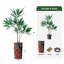 66 plantes-97701517