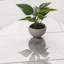Carrelage mural en porcelaine mate de 12 po x 24 po Beldale-94322318