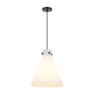 Newton 1 - Light Single Drop Pendant Pendant