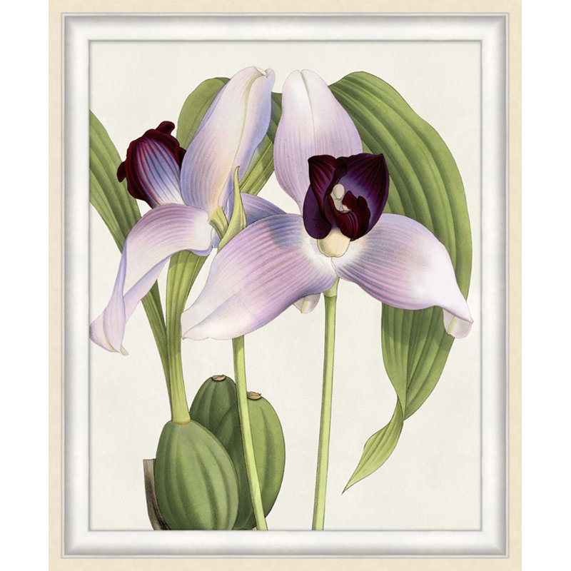 Orchidée 4 - Cadre photo, impression sur papier