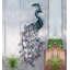 Décoration murale en métal représentant un paon gracieux, idéale pour une entrée, une terrasse ou une salle à manger.