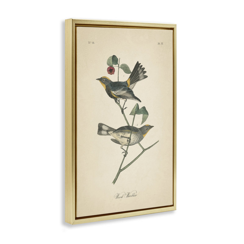 Toile flottante encadrée avec paravent rétro par Wild Apple Portfolio, H 31 po x l 21 po, Cadre flottant métallique doré