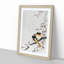 Two Sable Red Tails and Cherry Blossom by Ohara Koson - Picture Frame Painting Print-55606103-55606104