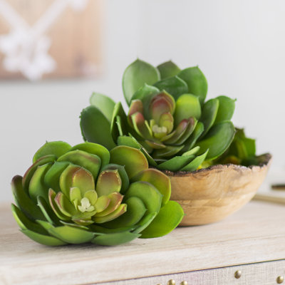 8'' Faux Succulent