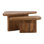 Sansa Mango Wood Coffee Table, Brown (Set of 2)