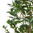 150CM ARTIFICIAL LAUREL TREE-483065427
