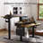 Height Adjustable Standing Desk With Storage Drawers & USB Charging Ports, For Home Office Work Station-2130666794
