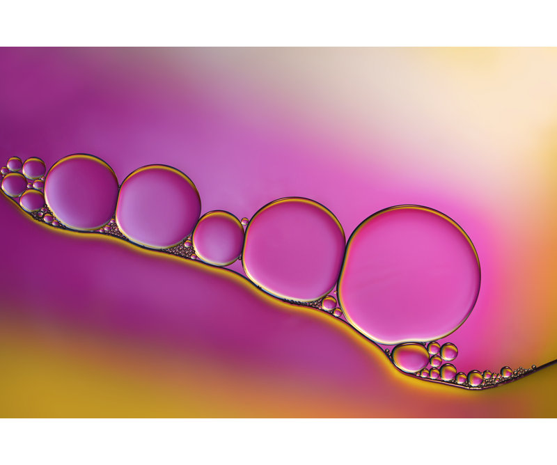 Wrapped Canvas Print, 50.8 cm H x 76.2 cm W