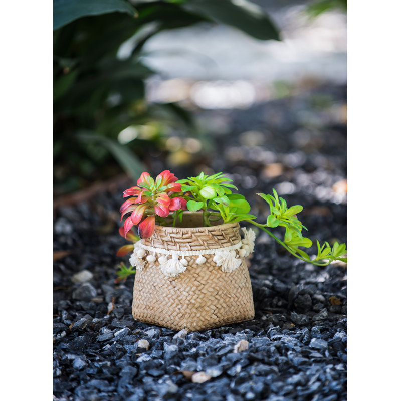Pot à fleurs en ciment Susette, H 6,1 po x l 6,5 po x P 6,5 po