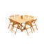 Surfliner Outdoor 9 - Piece Teak Dining Set