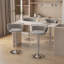 Christal Height Adjustable Swivel Bar Stool-1737403386-1737403382