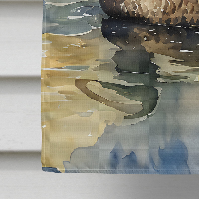 Drapeau de l'American Black Duck House