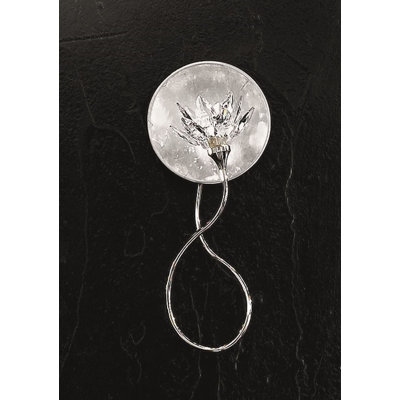 Iron Armed Sconce