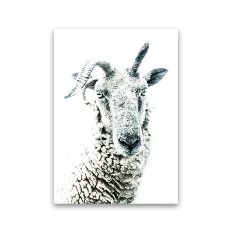 Sheep by Victoria Frost - Print, Unframed, 42cm H x 30cm W x 1cm D