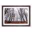 Never Ending Forest in Italy - Picture Frame Painting Print-55577140-55577141