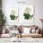 Keiri Oakleaf Hydrangea-108424246