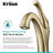 Kraus Arlo Single Hole 1-Handle WaterSense Bathroom Sink Faucet with Drain and Deck Plate-50585524