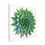 «Succulent Cut Out 09» par Cora Niele - photographie sur toile tendue-709010262