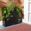 Rita 32.28" W Rectangular Planter Box with Drain Plug