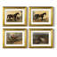 «Vintage Animal IV», ensemble de 4 reproductions encadrées