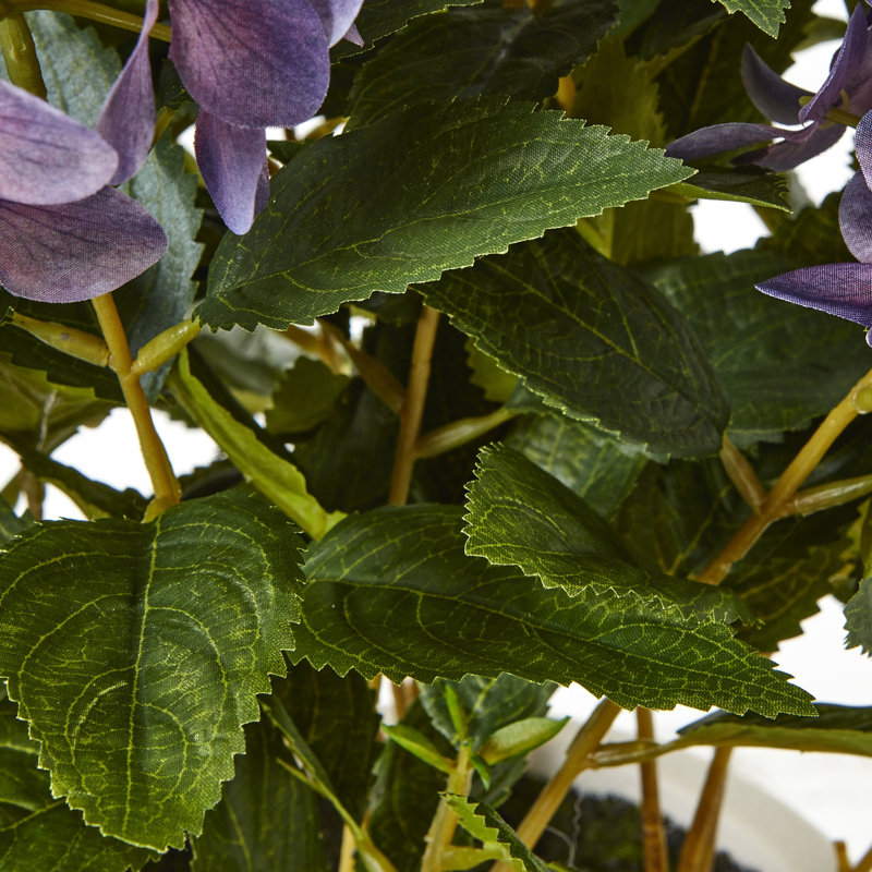 Medium Hydrangea Plant In Pot, Purple