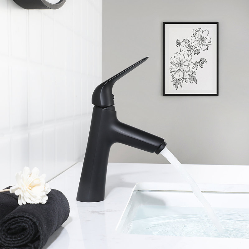 Single-handle Bathroom Faucet with Drain Assembly, Matte Black