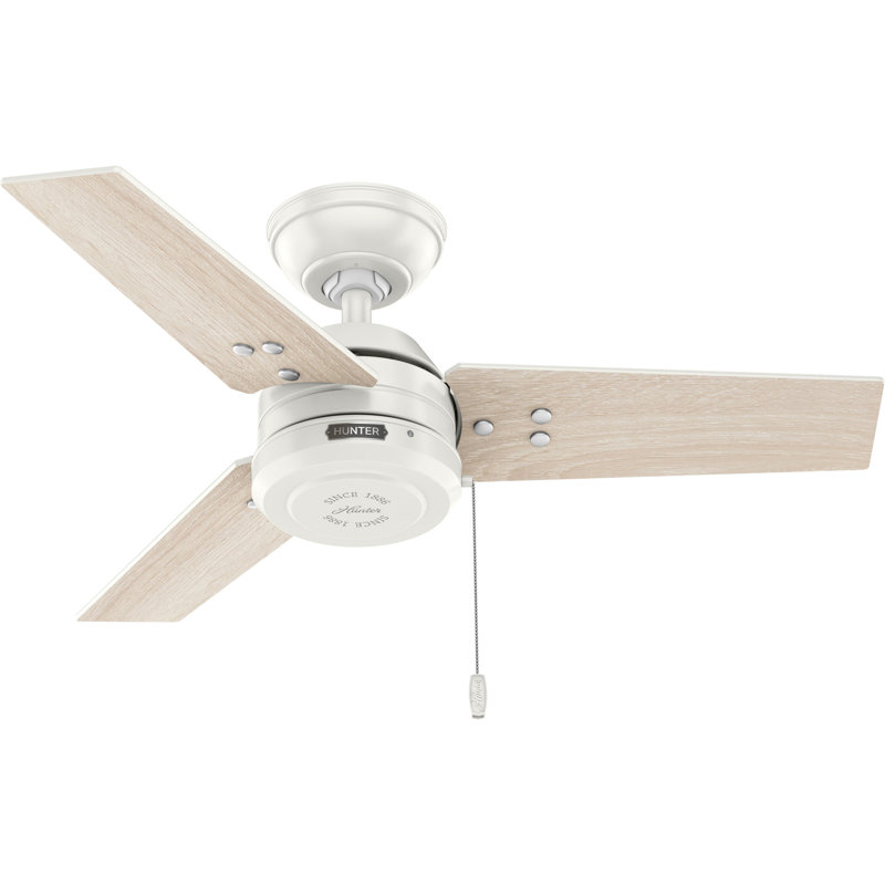 Ventilateur de plafond 36 po Cassius Hunter
