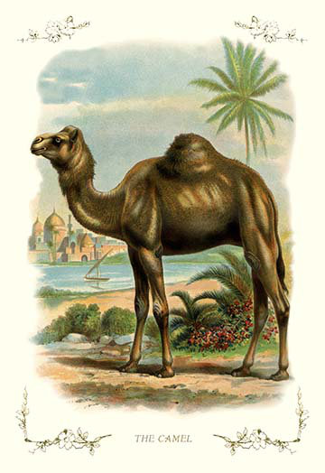 L’impression de l’art de graphisme