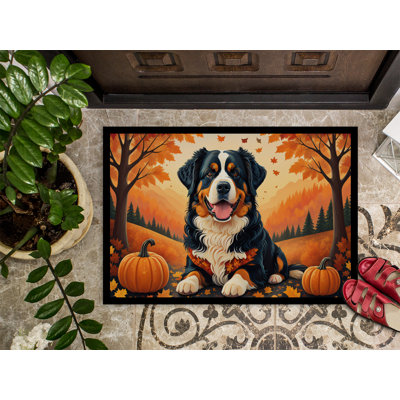 Cherryl Non-Slip Doormat