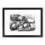 Pigs Illustration in Black and White - Framed Print-55616609-55616613