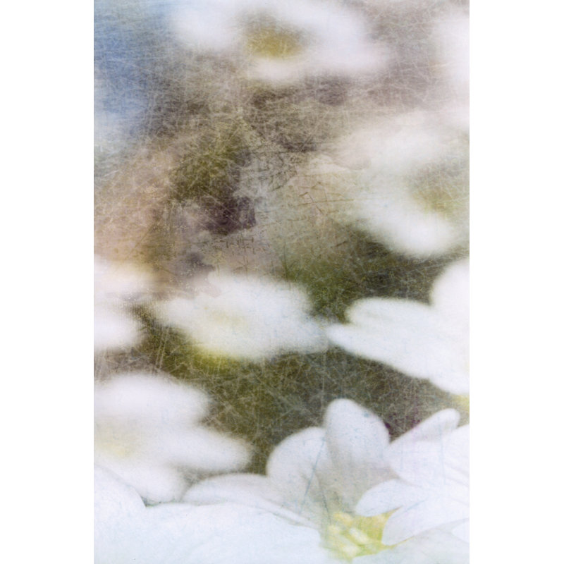 Looking Glass II - Wrapped Canvas Painting, 91cm H x 61cm W