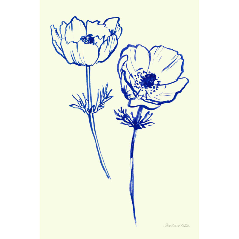 «Ink Anemones I» par Sara Zieve Miller - impression sur toile tendue, Papier avec cadre unique blanc, Oui, H 30 po x l 20 po