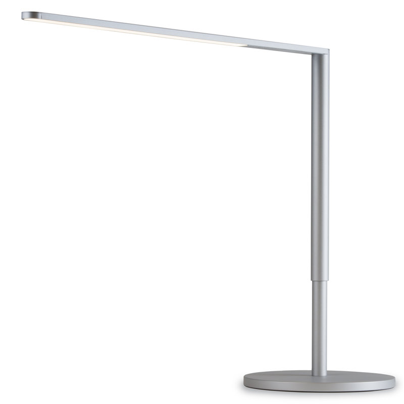 Lady7 Adjustable Metal USB Desk Lamp, Silver