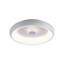 Eudia LED Flush Mount-391396314