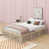 Naturel antique
