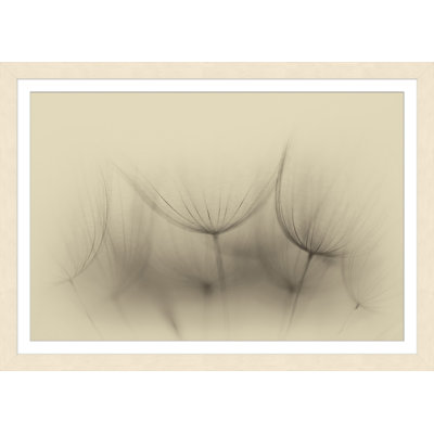 Wispy Blooms Print